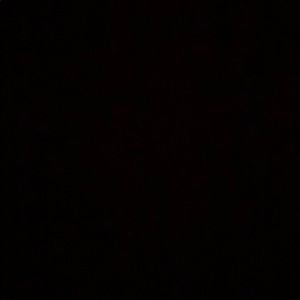 Meet your Posher, Lexi